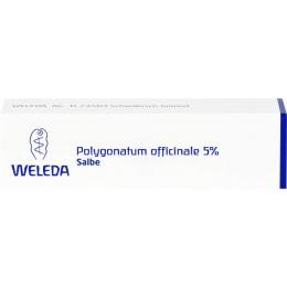 POLYGONATUM OFFICINALE 5% Salbe 25 g