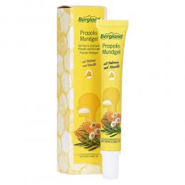 Ein aktuelles Angebot für PROPOLIS MUNDGEL 13.5 ml Gel Mundpflegeprodukte - jetzt kaufen, Marke Bergland-Pharma GmbH & Co. KG.