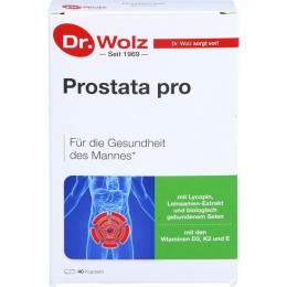 PROSTATA PRO Dr.Wolz Kapseln 40 St. (28 g)