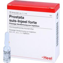 PROSTATA SUIS Injeel forte Ampullen 10 St.