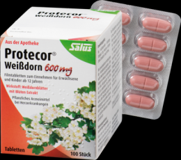 PROTECOR Weidorn 600 mg Filmtabletten 100 St