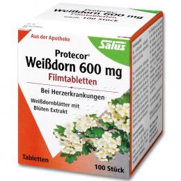 PROTECOR Weissdorn 600 mg Filmtabletten 100 St Filmtabletten