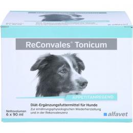 RECONVALES Tonicum für Hunde 540 ml