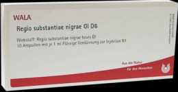 REGIO substantiae nigrae GL D 6 Ampullen 10X1 ml