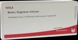 RENES/ARGENTUM nitricum Ampullen 10X1 ml