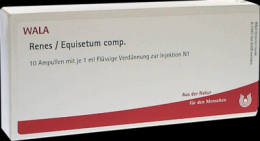 RENES/EQUISETUM comp.Ampullen 10X1 ml