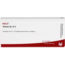 RENES GL D 4 Ampullen 10 ml