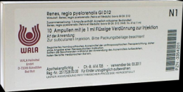 RENES REGIO pyelorenalis GL D 12 Ampullen 10X1 ml