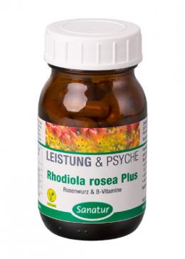 Ein aktuelles Angebot für RHODIOLA ROSEA Plus B-Vitamine Kapseln 60 St Kapseln Nahrungsergänzungsmittel - jetzt kaufen, Marke Sanatur GmbH.