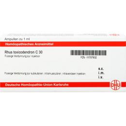 RHUS TOXICODENDRON C 30 Ampullen 8 ml