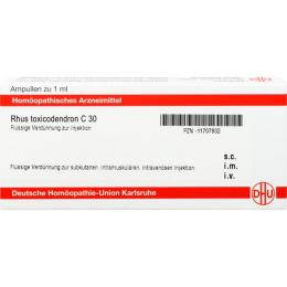 RHUS TOXICODENDRON C 30 Ampullen 8 ml