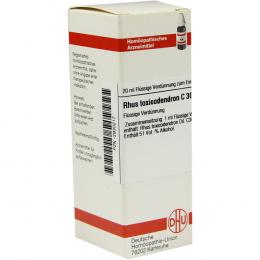 RHUS TOXICODENDRON C 30 Dilution 20 ml Dilution