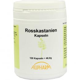 Ein aktuelles Angebot für ROSSKASTANIEN KAPSELN 120 St Kapseln Venenleiden - jetzt kaufen, Marke Allpharm Vertriebs GmbH.