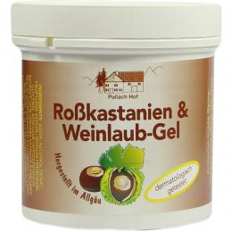Ein aktuelles Angebot für ROSSKASTANIEN WEINLAUB Gel 250 ml Gel Venenleiden - jetzt kaufen, Marke Axisis GmbH.