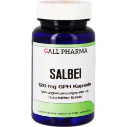 SALBEI 120 mg GPH Kapseln 60 St. (32 g)