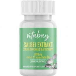 SALBEI EXTRAKT 1900 mg Salvia officinalis veg.Kps. 90 St.