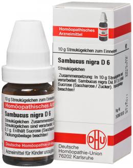 SAMBUCUS NIGRA D 6 10 g Globuli