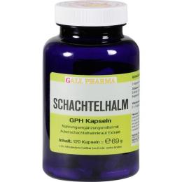 SCHACHTELHALM KAPSELN 120 St. (69 g)