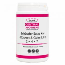 SCHÜSSLER SALZE KUR RÜCKEN&GELENK FIT 2+4+7 225G St