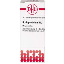 SCOLOPENDRIUM D 12 Globuli 10 g