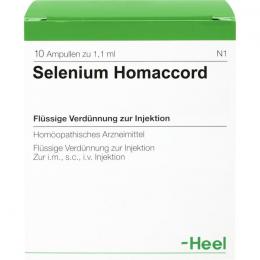 SELENIUM HOMACCORD Ampullen 10 St.