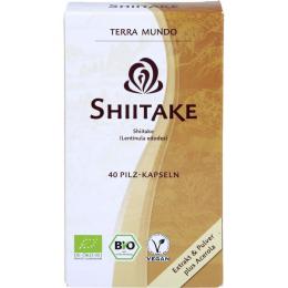 SHIITAKE VITALPILZ Bio Terra Mundo Kapseln 40 St.