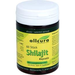 SHILAJIT Kapseln 60 St. (32 g)