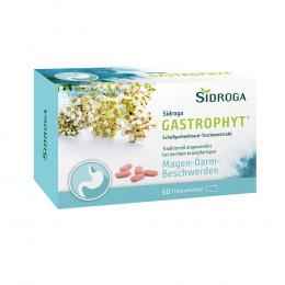 SIDROGA GastroPhyt 250 mg Filmtabletten 60 St Filmtabletten