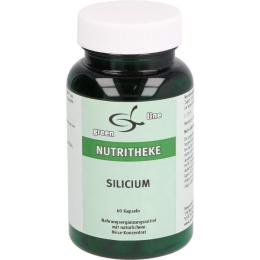 SILICIUM KAPSELN 60 St. (35,4 g)