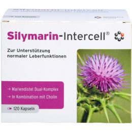 SILYMARIN-Intercell Kapseln 120 St.
