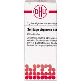 SOLIDAGO VIRGAUREA LM VI Globuli 5 g