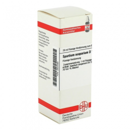 SPARTIUM SCOPARIUM D 1 Dilution 20 ml
