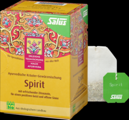 SPIRIT Krutertee Bio Salus Filterbeutel 27 g