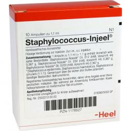 Ein aktuelles Angebot für STAPHYLOCOCCUS INJEEL Ampullen 10 St Ampullen Homöopathische Komplexmittel - jetzt kaufen, Marke Biologische Heilmittel Heel GmbH.