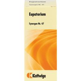 SYNERGON KOMPLEX 47 Eupatorium Tropfen 50 ml
