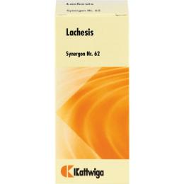 SYNERGON KOMPLEX 62 Lachesis Tropfen 50 ml