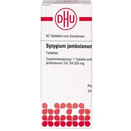 SYZYGIUM JAMBOLANUM D 4 Tabletten 80 St.