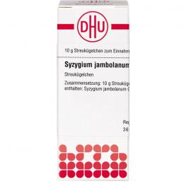 SYZYGIUM JAMBOLANUM D 6 Globuli 10 g