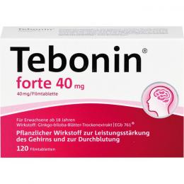 TEBONIN forte 40 mg Filmtabletten 120 St.