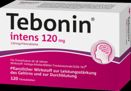 TEBONIN intens 120 mg Filmtabletten 120 St