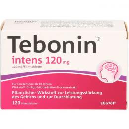 TEBONIN intens 120 mg Filmtabletten 120 St.