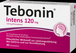 TEBONIN intens 120 mg Filmtabletten 30 St