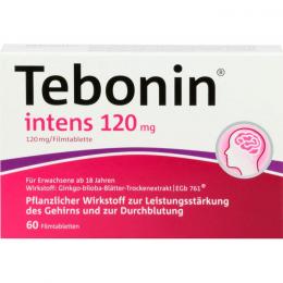 TEBONIN intens 120 mg Filmtabletten 60 St.