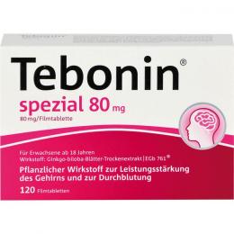 TEBONIN spezial 80 mg Filmtabletten 120 St.
