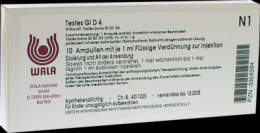 TESTES GL D 4 Ampullen 10X1 ml