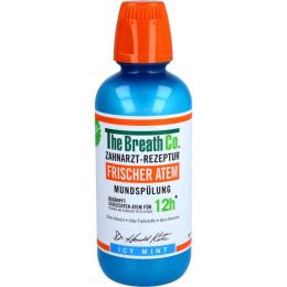 THE BREATH CO Mundspülung icy mint 500 ml