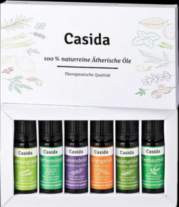 THERISCHE le Set naturrein Top 6 Aromatherapie 60 ml