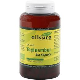 TOPINAMBUR KAPSELN 120 St. (86 g)