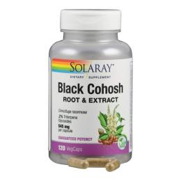 TRAUBENSILBERKERZE Solaray Kapseln 120 St.