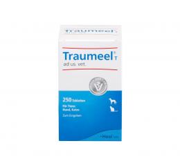 Ein aktuelles Angebot für TRAUMEEL T Tabletten für Hunde und Katzen 250 St Tabletten Tierarzneimittel - jetzt kaufen, Marke Biologische Heilmittel Heel GmbH.